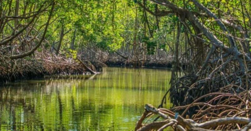 Private: Los Haitises National Park 2-Day Tour with Meals - The Itinerary: What to Expect from Start to Finish