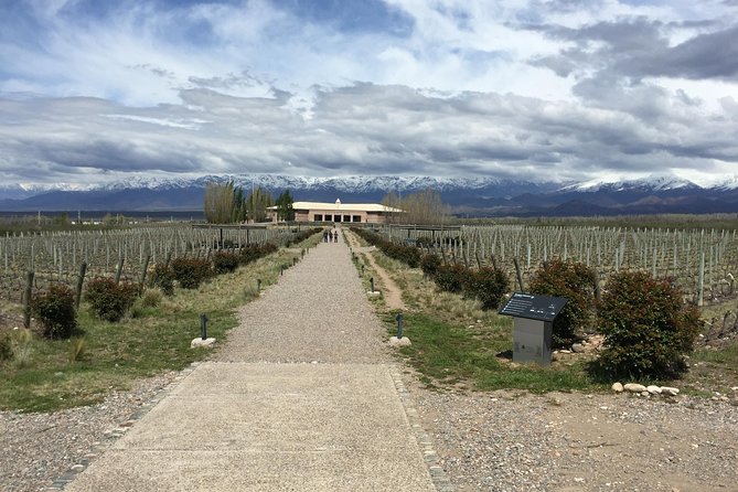 Private Lujan Wine Tour With Gourmet Wine-Paired Lunch From Mendoza - Pricing and Booking Details
