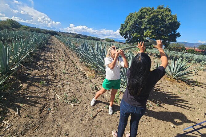 Private Lunch in Mezcal Maguey Fields - Final Thoughts