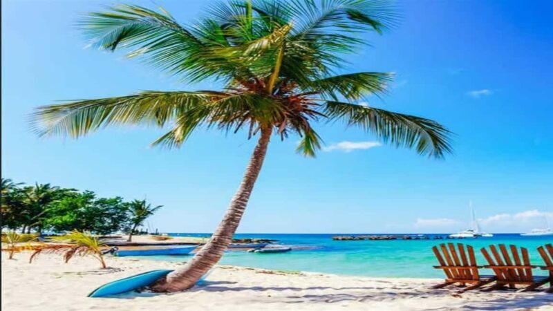 Private: Lunch on a Catamaran Cruise Around Catalina Island - A Deep Dive into the Experience