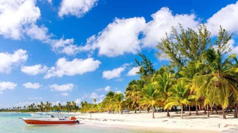 Private: Lunch on a Catamaran Cruise Around Catalina Island - Final Thoughts