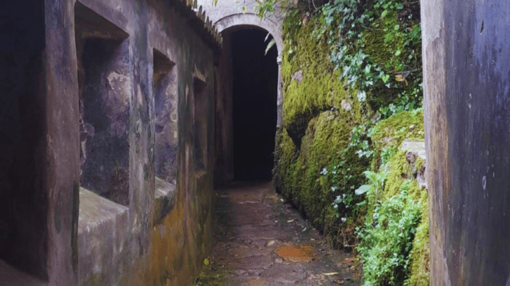 Private Lush Mystic Sintra: Native Forest / Hidden Convent - Itinerary and Activities