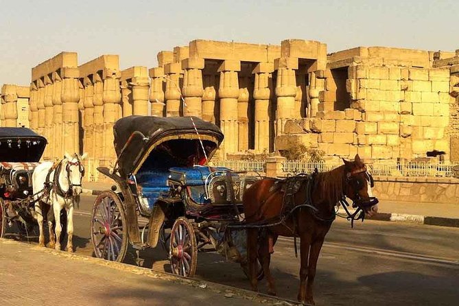 Private Luxor City Tour by Horse Carriage - Inclusions Provided