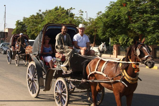 Private Luxor City Tour by Horse Carriage - Meeting and Pickup Info