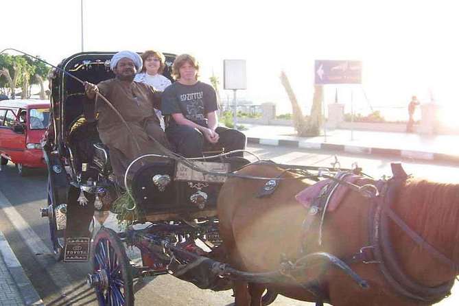 Private Luxor City Tour by Horse Carriage - Pricing Information