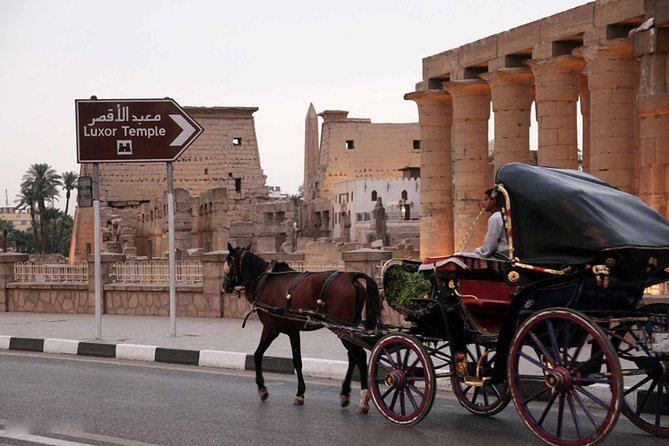 Private Luxor Horse Carriage Tour From Luxor - Good To Know