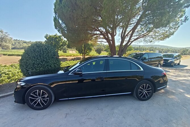 Private Luxurious Transfer in Paris - Accessibility Information