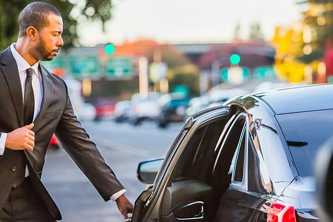 Private Luxurious Transfer in Paris - Cancellation Policy