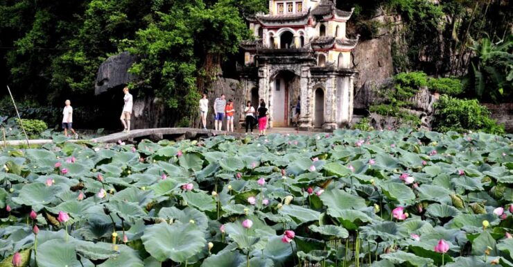 Private Luxury 1 Day Tour: Trang An, Mua Cave, Bich Dong - Good To Know