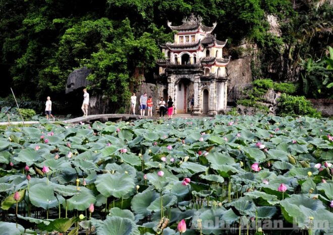 Private Luxury 1 Day Tour: Trang An, Mua Cave, Bich Dong - Mua Cave Exploration
