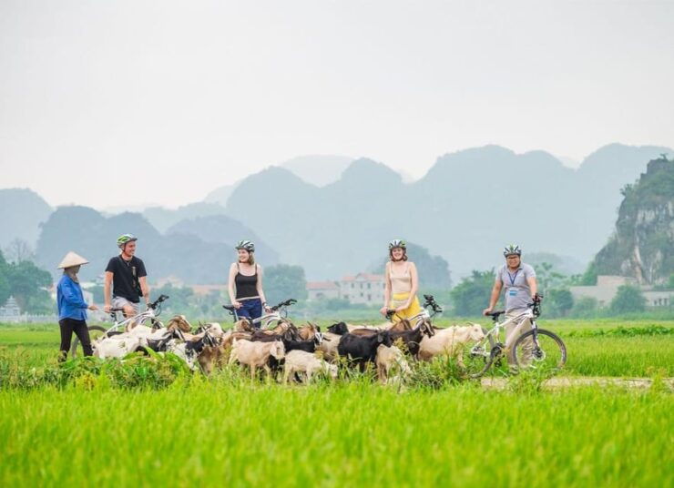 Private Luxury 1 Day Trip: Hoa Lu, Tam Coc, Mua Cave, Biking - Good To Know