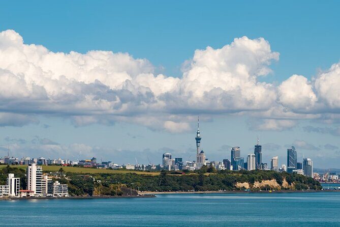 Private Luxury Airport Transfer to/from Central Auckland - Who Will Benefit Most?