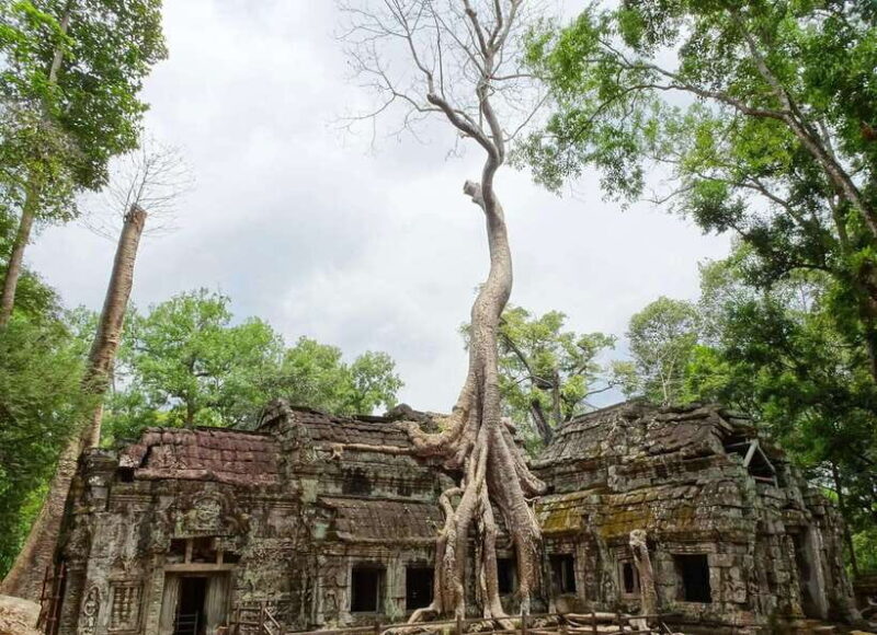 Private Luxury Angkor Wat English, Japanese or German Guide - FAQs