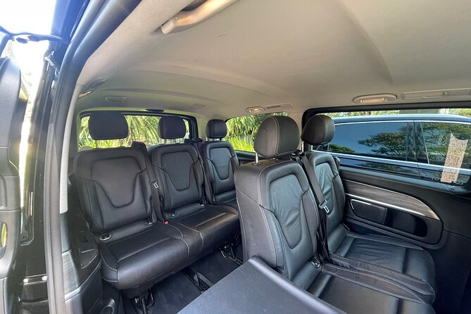 Private Luxury Blue Mountain Tour With Wildlife and River Cruise - Luxury Transportation