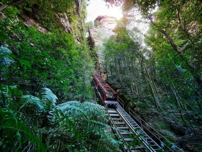 PRIVATE LUXURY BLUE MOUNTAINS ADVENTURE | FROM SYDNEY - Good To Know