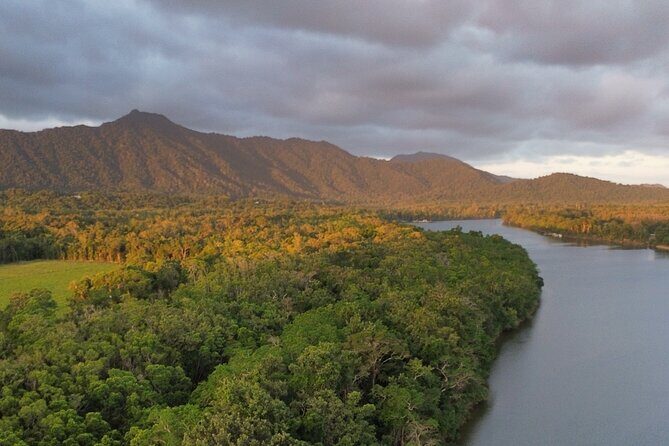 Private Luxury Cape Tribulation Adventure and Crocodile Cruise - Practical Details and Value