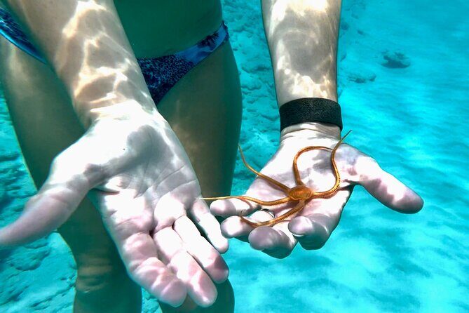 Private Luxury Catamaran Half Day Charter - Setting the Scene: What to Expect on Your Day