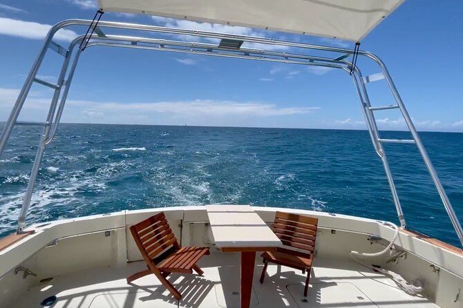 Private Luxury Cruise on a 60 Ft Yacht in Honolulu - Spotting Local Wildlife
