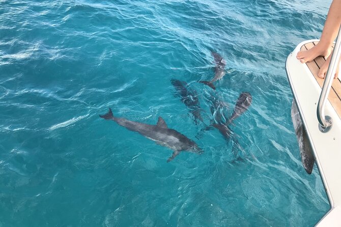 Private Luxury Cruise on a 60 Ft Yacht in Honolulu - Cancellation and Refund Policy