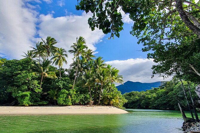 Private Luxury Daintree Dream Tour All Inclusive - Good To Know