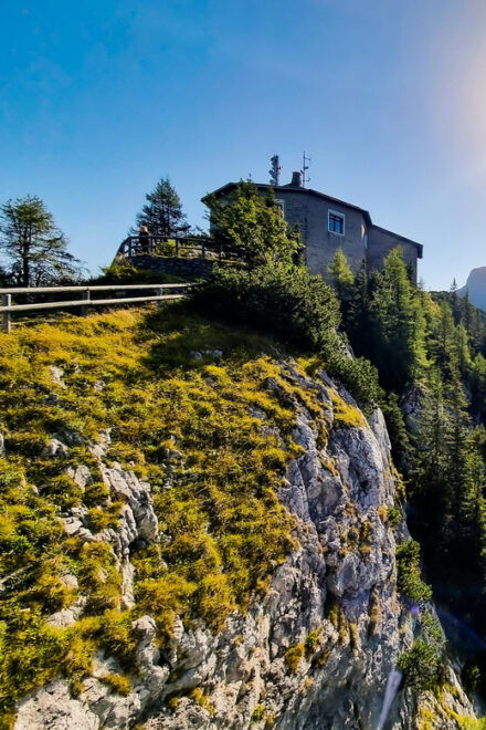 Private Luxury Day Trip From Munich to Eagles Nest & Back - Driver Information