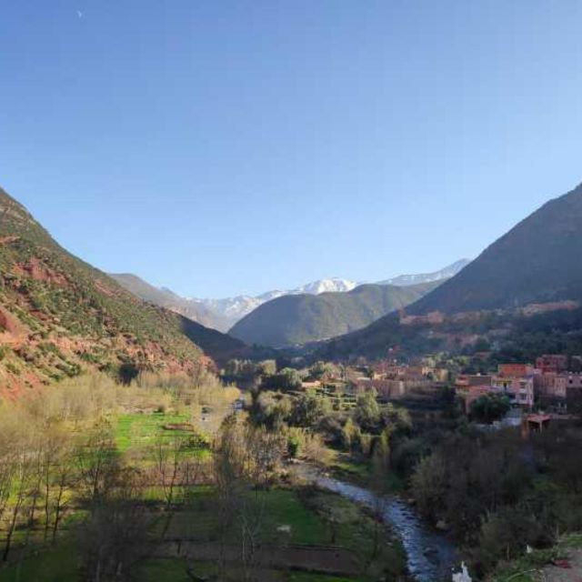 Private Luxury Day Trip to Ourika Valley From Marrakech - Activity Highlights