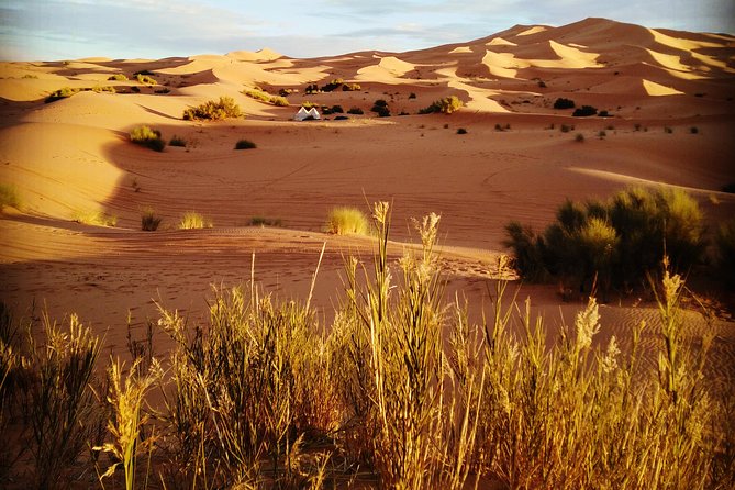 Private Luxury Desert Tour From Marrakech to Merzouga 3 Days 2 Nights - Pickup and Drop-off