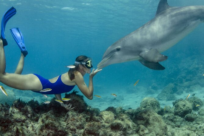 Private Luxury Dolphin House Boat Tour in Hurghada - Good To Know