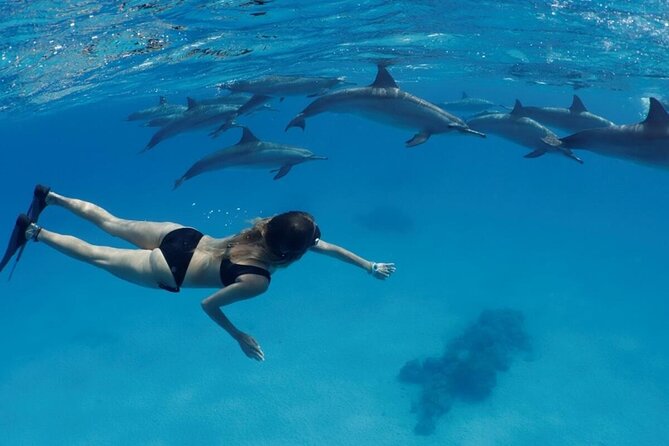Private Luxury Dolphin House Boat Tour in Hurghada - Pickup Details