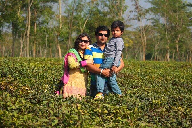 Private Luxury Escape: 2 Day Tea Gardens & Scenic Landscapes - Who Is This Tour Best Suited For?