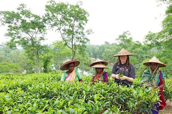 Private Luxury Escape: 2 Day Tea Gardens & Scenic Landscapes - Good To Know  