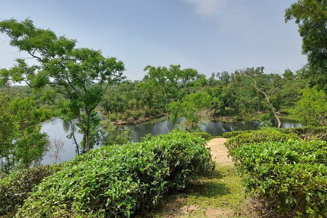 Private Luxury Escape: 2 Day Tea Gardens & Scenic Landscapes - Frequently Asked Questions (FAQs)