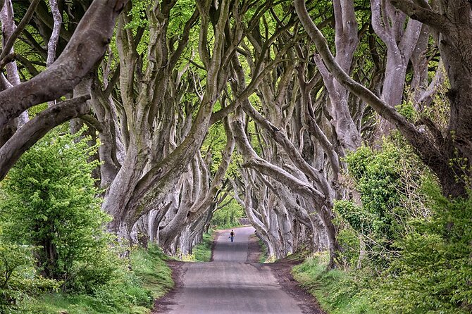 Private Luxury Giants Causeway Tour Up to 8 People - Guarantee and Availability
