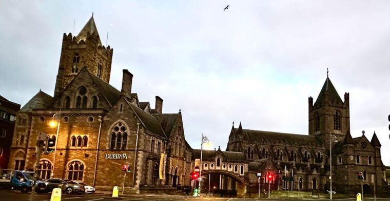 Private luxury half day ; Dublin City tour. - Who Will Love This Tour?