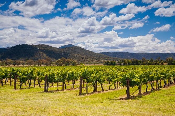 Private Luxury Hunter Valley Tour - up to 7 Guests - Booking Information