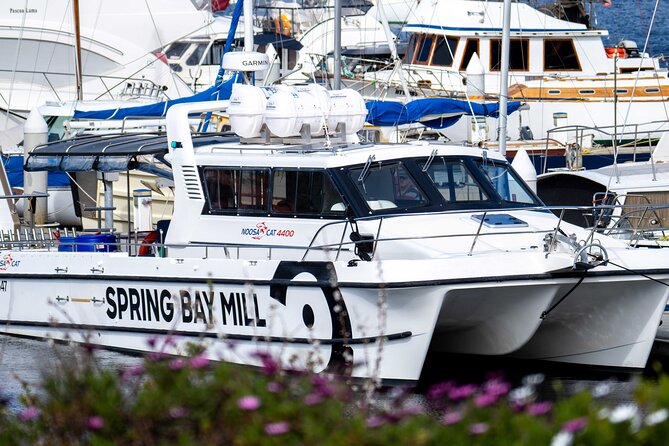 Private Luxury Intimate Whale Watching - Cancellation Policy