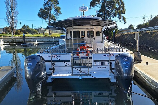 Private Luxury Intimate Whale Watching - The Sum Up