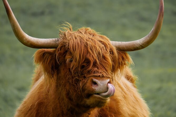 Private Luxury Mini Highlands Tour From Edinburgh - Braveheart - Knowledgeable Tour Guide