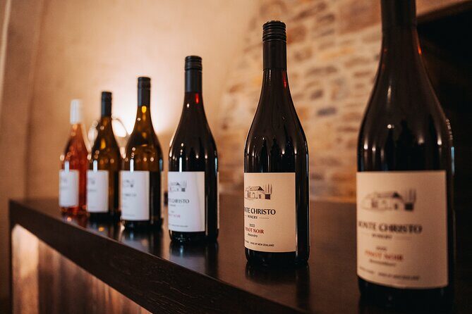 Private Luxury Return Transfers - Queenstown to Wanaka Vineyards - Who Is This Tour Best For?