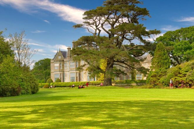 Private Luxury Ring of Kerry and Skelling Ring Day Tour - Transportation and Pickup