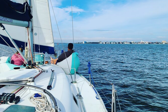 Private Luxury Sailing Charters, BYOB & Dolphins - Dolphin Spotting and Wildlife Encounters