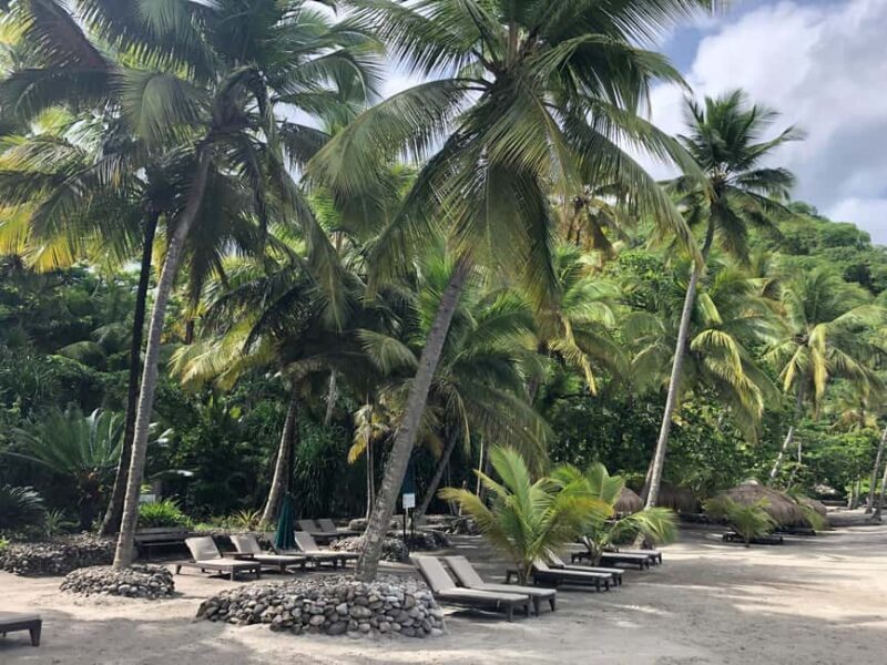 Private: Luxury Saona Island Speedboat Trip with Open Bar - The Natural Pool and Starfish Encounter