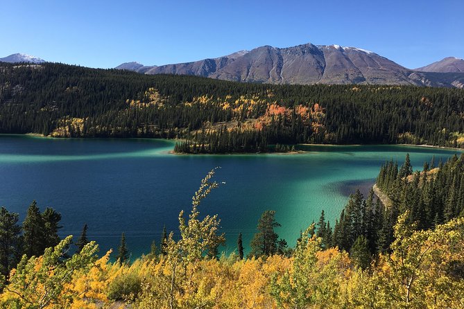 Private Luxury Shore Excursion Skagway, AK to Emerald LAKe, Yukon. - Traveler Photos