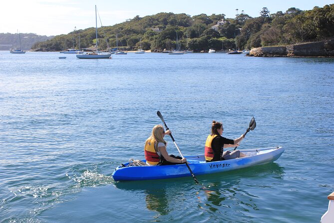 Private Luxury Sydney Harbour Cruise - Morning Tea Cruise