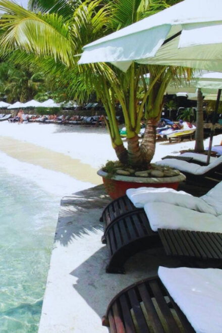 PRIVATE LUXURY TOUR - EXPLORE NHA TRANG ISLAND - Health and Safety Guidelines