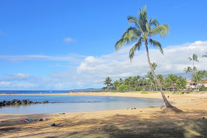 Private Luxury Tour of Kauai: South & West Shores - Refund and Cancellation Policy