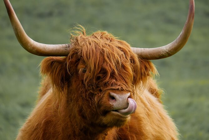 Private Luxury Tour of Loch Lomond, Oban, Glencoe & The Highlands - Inclusions