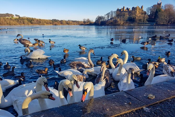 Private Luxury Tour of Loch Lomond, Oban, Glencoe & The Highlands - Glencoe & The Highlands