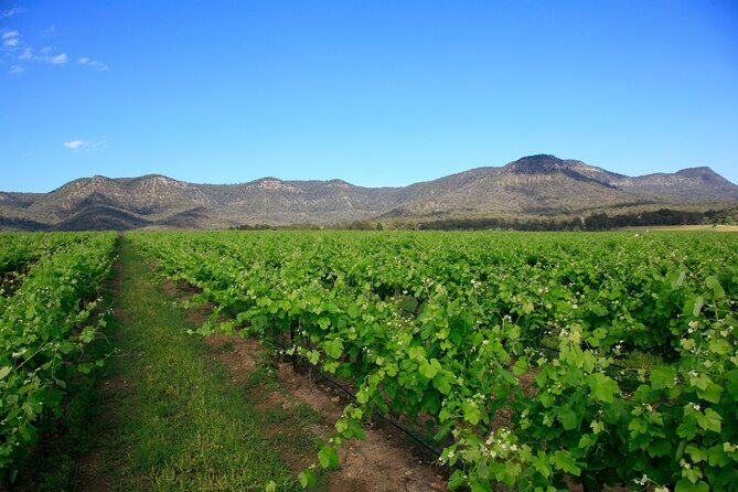 Private Luxury Tour: Tastes of the Hunter Valley - Cancellation Policy