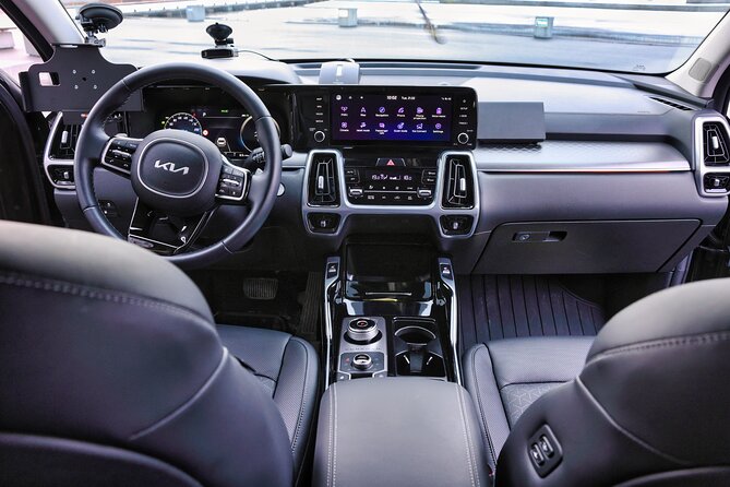 Private Luxury Transfer From Reykjavik to Blue Lagoon - Professional Chauffeurs and Comfortable Vehicles